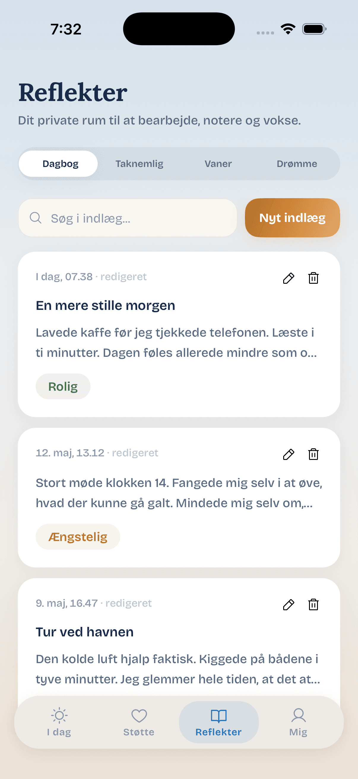 Skærmbillede af Dagbog-fanen i Den Krøllede Hjerne
