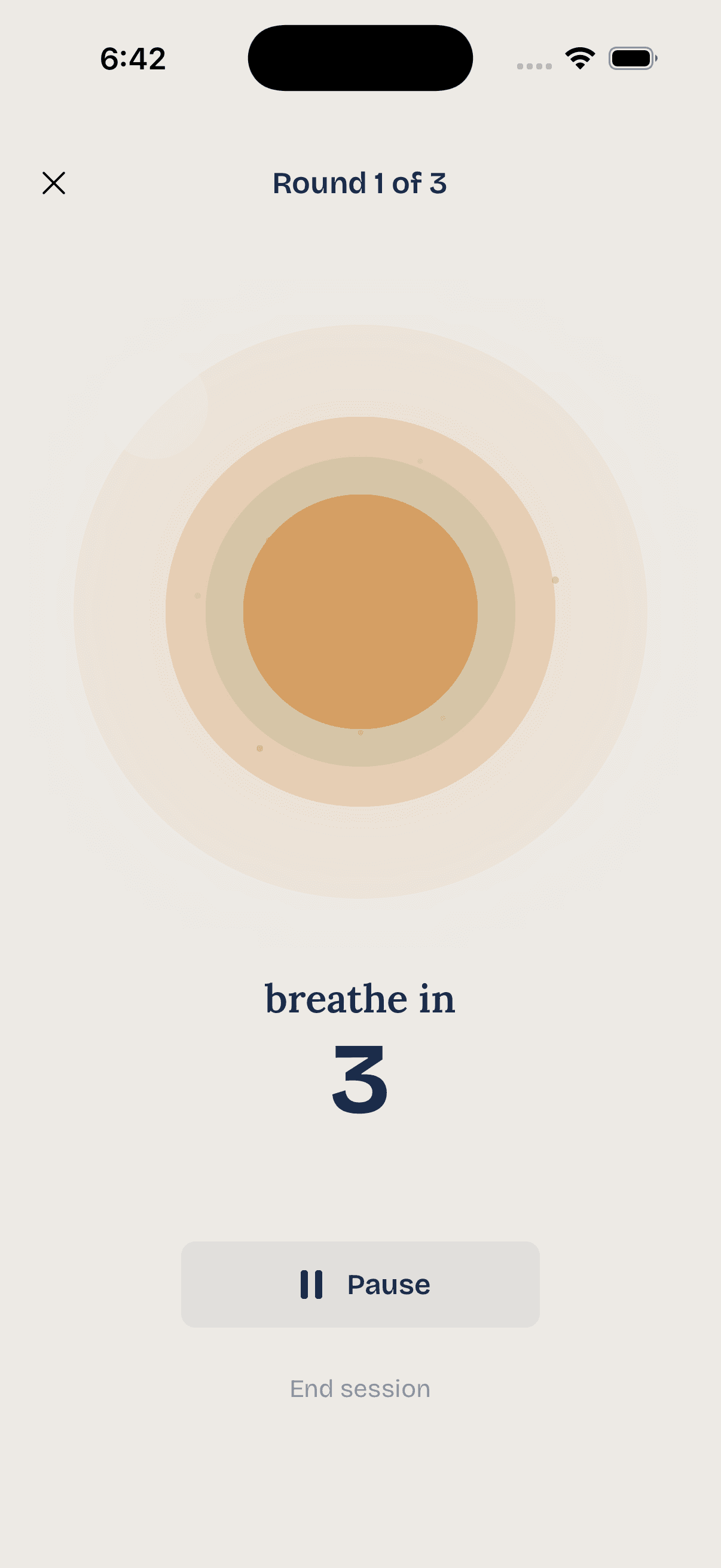 Screenshot of a breathing session in Den Krøllede Hjerne